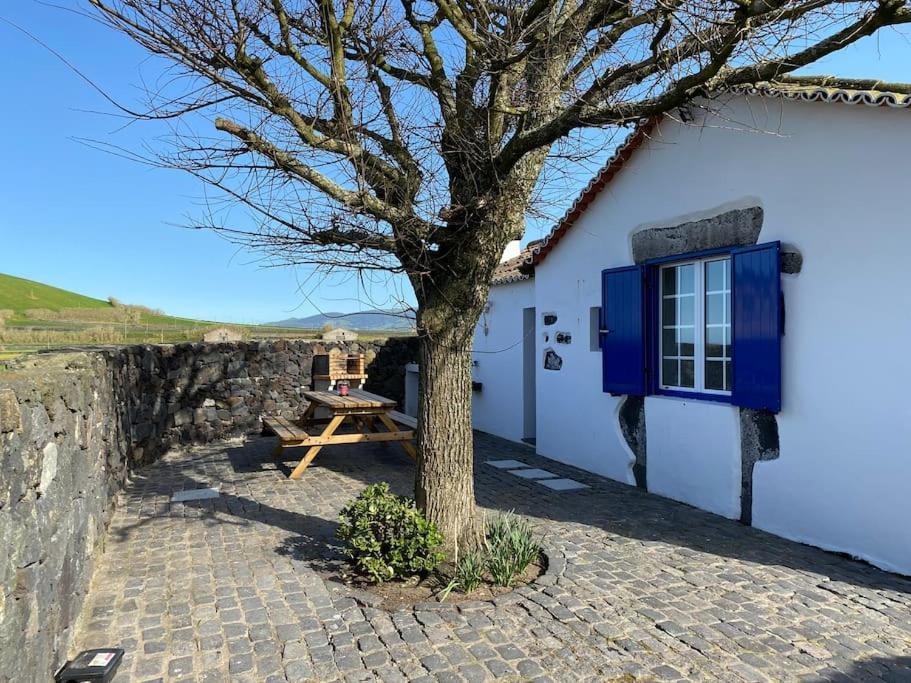 Vacas Felizes Villas - Casa Da Bilha Rabo de Peixe Εξωτερικό φωτογραφία